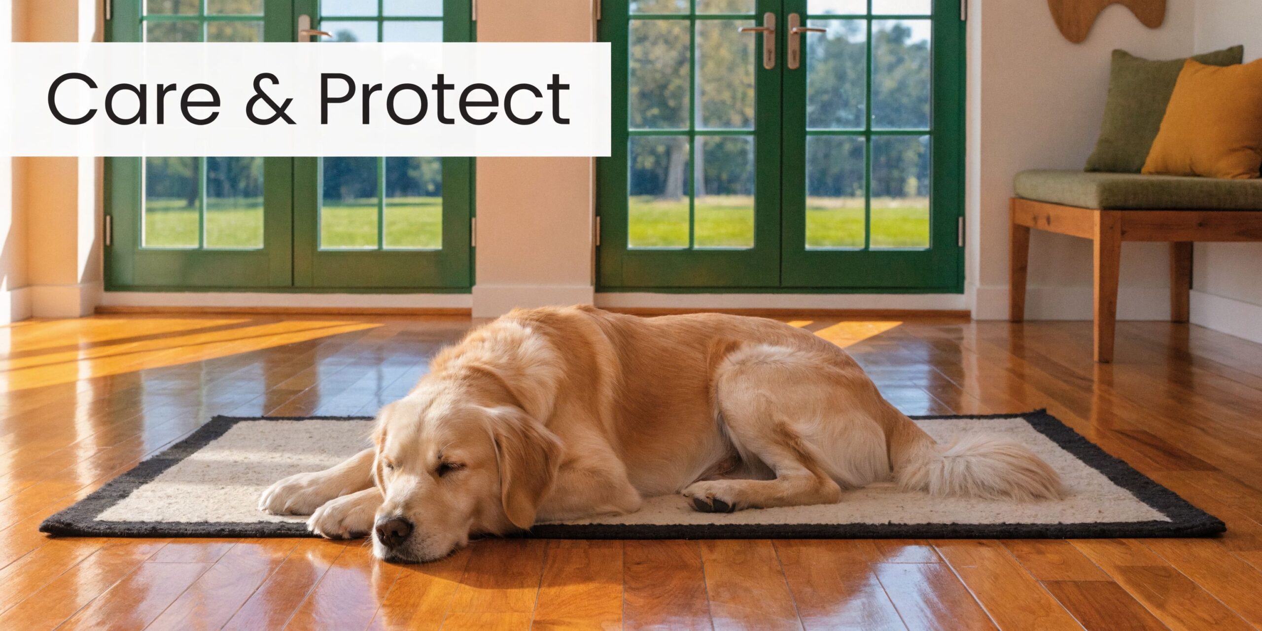 A golden retriever dog resting peacefully on a white rug on a shiny hardwood floor inside.
