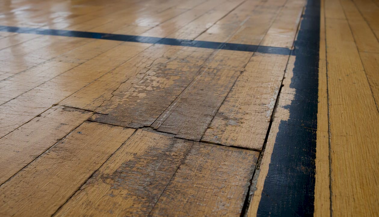 Close-up of gym hardwood floor water damage